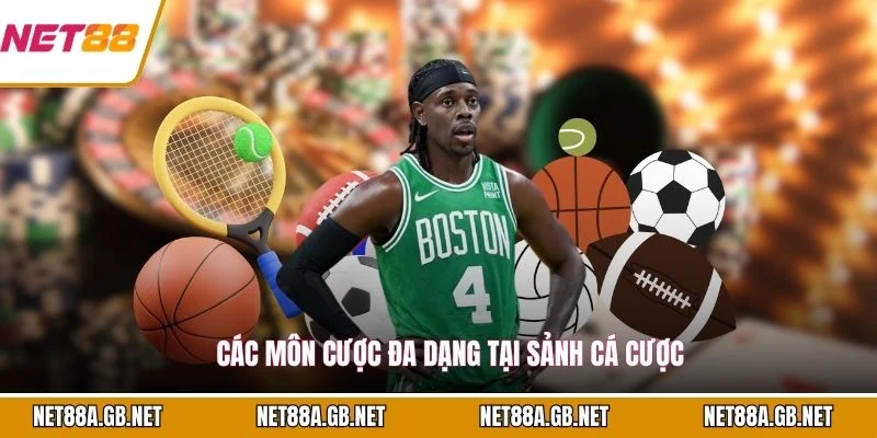 Các môn cược đa dạng tại sảnh cá cược