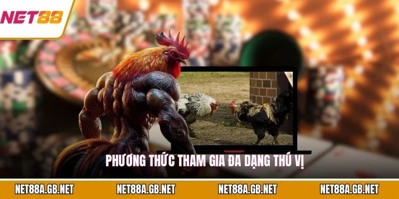 Phương thức tham gia đa dạng thú vị