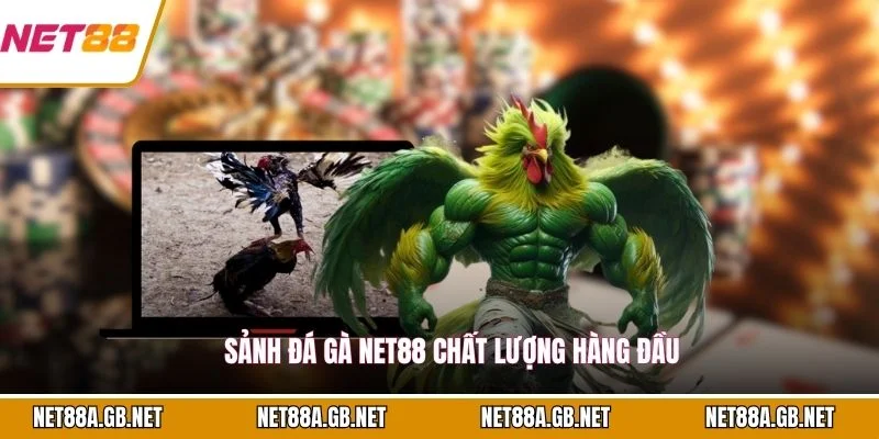 Sảnh đá gà NET88 chất lượng hàng đầu