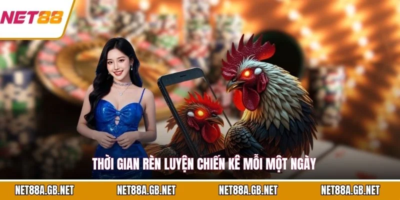 Thời gian rèn luyện chiến kê mỗi một ngày