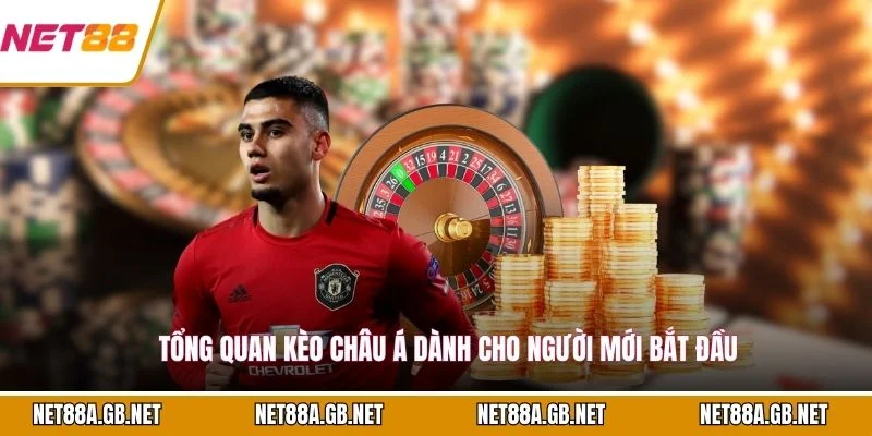 Tổng quan kèo châu Á dành cho người mới bắt đầu