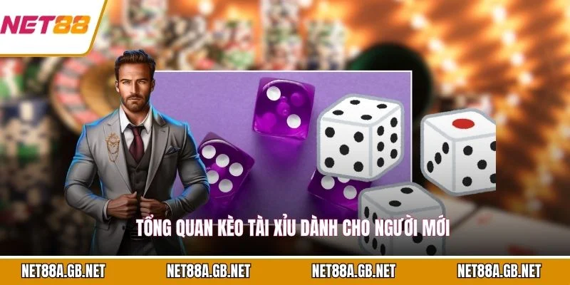 Tổng quan kèo tài xỉu dành cho người mới